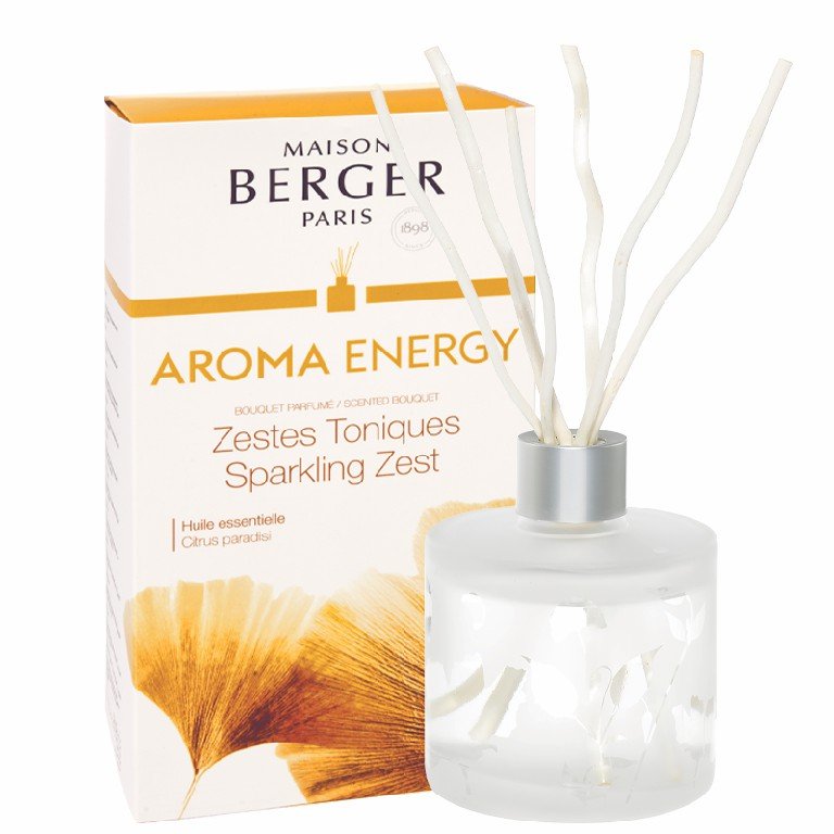 Maison Berger Paris Difuzér s vrbovými tyčinkami Aroma Energy – Čerstvé tonikum, 180 ml 6057