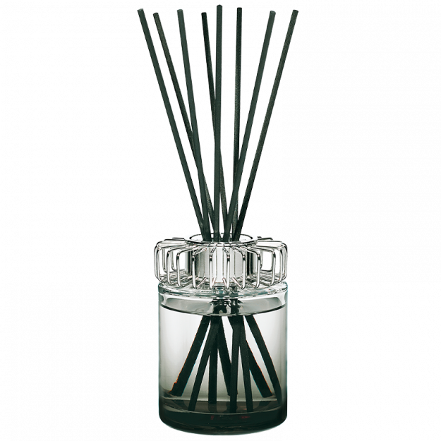 Maison Berger Paris Aroma Difuzér Land + Divoký bodlák 115 ml 6599