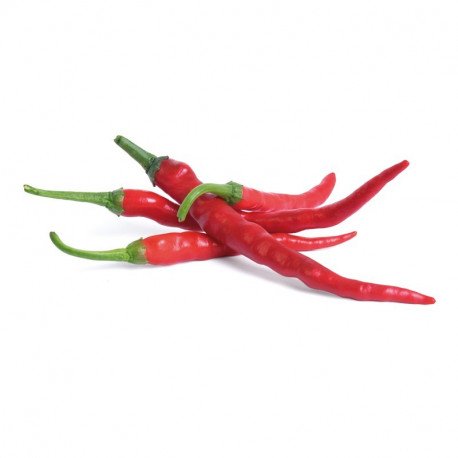 Véritable Lingot s BIO semeny Cayenne chili papriček pro chytré květináče VLIN-L5-Pim018