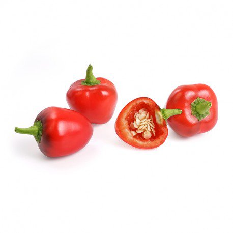 Véritable Lingot s BIO semeny červených minipapriček pro chytré květináče VLIN-L5-Poi017