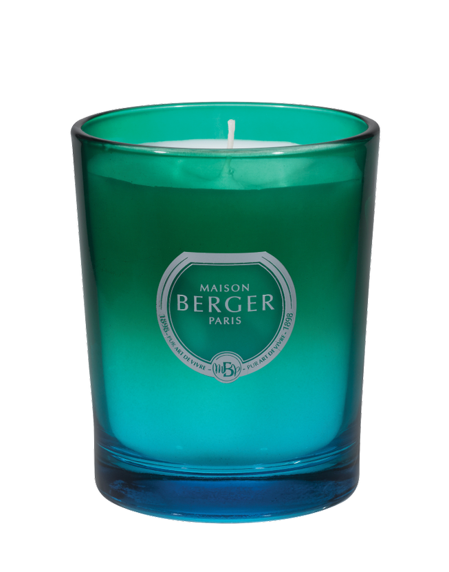 Maison Berger Paris Svíčka Dare Verbena, 180 g 6956