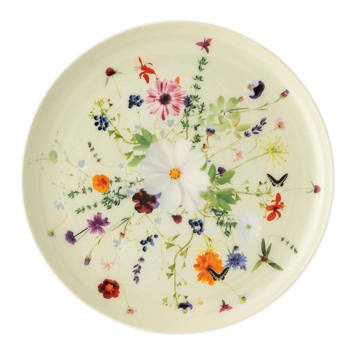 Rosenthal Pečivový talíř Brillance Grand Air, coup, šalvějový, 18 cm 10530-405109-10218